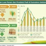 PRODUKSI PADI DI SUMSEL TAHUN 2021 TURUN LEBIH DARI 7%