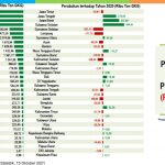 Produksi Padi Lampung Bersaing Ketat dengan Sumsel