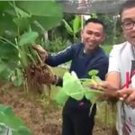 Mengubah Transformasi Ekonomi di Desa