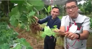 Mengubah Transformasi Ekonomi di Desa
