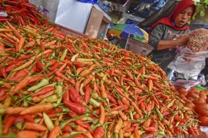 Harga Cabai Rawit di Pasar Skip Palembang Tembus Rp 100.000/KG