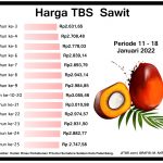 Penetapan Harga TBS 11 - 18 Januari 2022