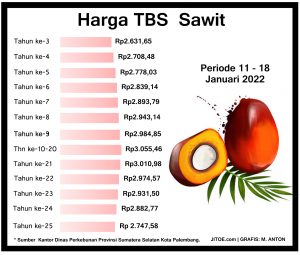 Penetapan Harga TBS Periode 11 – 18 Januari 2022