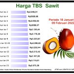 Harga TBS Sawit 18 Januar - 09 Fabruari 2022