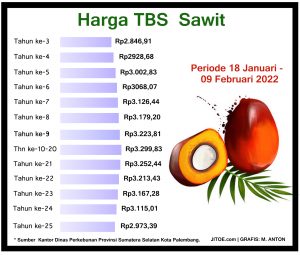 Penetapan Harga TBS Periode 18 – 09 Februari 2022