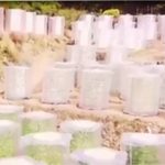 Pertanian Sistem Aeroponik Dalam Green House Mini