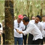 Harga Karet di Sumatera Selatan 10 Februari 2022