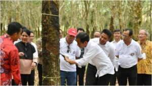 Harga Karet di Sumatera Selatan 10 Februari 2022