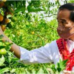 Pentingnya Infrastruktur Jalan untuk Tunjang Kegiatan Produksi