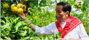 Pentingnya Infrastruktur Jalan untuk Tunjang Kegiatan Produksi
