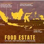 Program Pangan Berbasis Food Estate