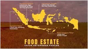 Program Pangan Berbasis Food Estate