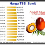 Penetapan Harga TBS Periode 09 – 18 Februari 2022.jpg