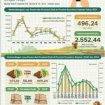 Beberapa Wilayah Potensi Penghasil Padi pada 2021 Produksi Turun
