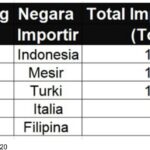 Ukraina dan Ketergantungan Indonesia Impor Gandum