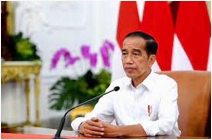 Jurus  Jokowi Untuk Minyak Goreng Melimpah di Dalam Negeri