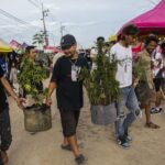 Thailand Panik Usai Legalkan Ganja