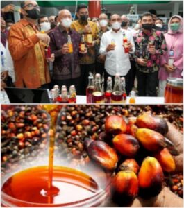 Manfaat dan Apa Itu Minyak Makan Merah