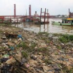Sungai Musi Tercemar, Ikan-Ikan Terancam Limbah dan Mikroplastik