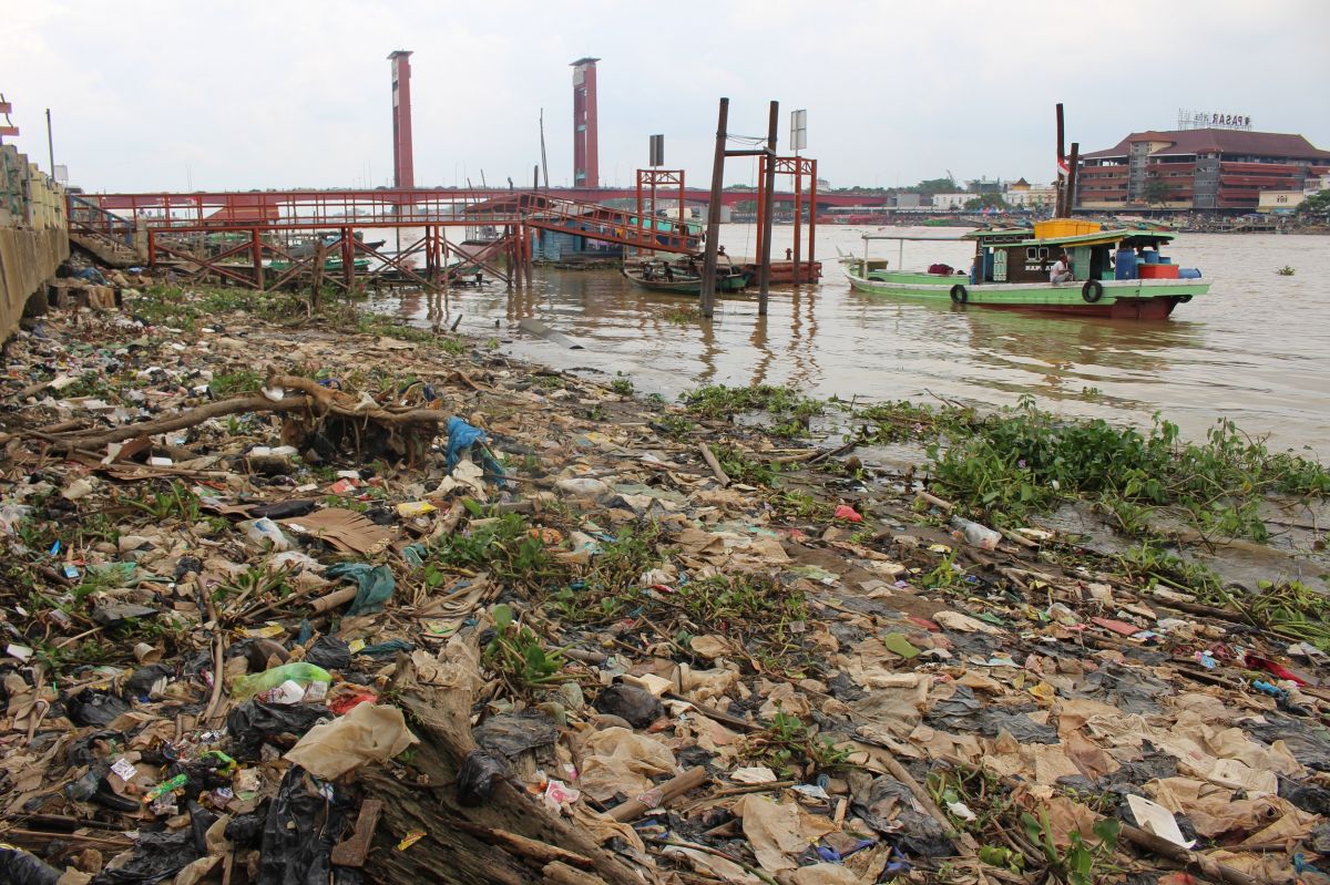 Sungai Musi Tercemar, Ikan-Ikan Terancam Limbah dan Mikroplastik