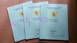 Mantan Kades dan Pegawai BPN Gadungan Palsukan Puluhan Sertifikat Tanah di Banyuasin