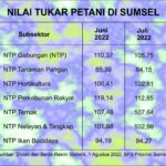 Sinyal Merah Produksi Padi di Sumsel