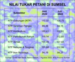 Sinyal Merah Produksi Padi di Sumsel