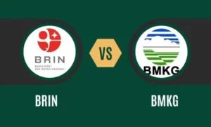 Beda Prediksi Cuaca 2 Lembaga Negara, Jokowi Minta Masyarakat Percaya BMKG