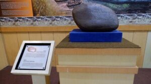 Sejarawan Palembang Harapkan Peninggalan Kerajaan Sriwijaya Selamat dari Kebakaran Museum Nasional