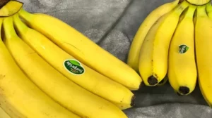 Jarang Diketahui, Ini Perbedaan Pisang Sunpride dengan Pisang Cavendish