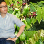 Nitizen Juluki Gibran Rakabuming 'Belimbing Sayur', Makin Dirujak Lantaran Sebut Ibu Hamil Perlu Asupan Asam Sulfat