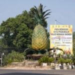 Oh, Jadi Ini Alasan Prabumulih Dijuluki Kota Nanas