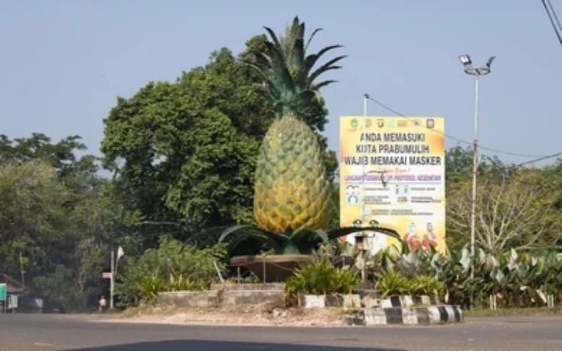 Oh, Jadi Ini Alasan Prabumulih Dijuluki Kota Nanas