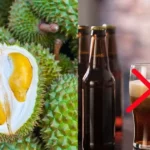 Perhatian! Hindari 6 Kombinasi Makanan Ini Bersama Durian untuk Kesehatan Optimal