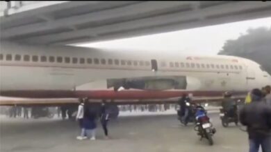 Viral, Pesawat Airbus A320 Air India 'Nyasar' di Bawah Jembatan