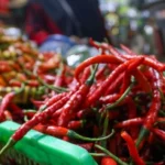 BPS Sumsel: IHK Sumsel Deflasi 0,08% di Januari 2024