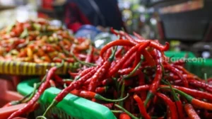 BPS Sumsel: IHK Sumsel Deflasi 0,08% di Januari 2024