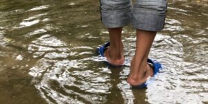 Apa itu Leptospirosis, Penyebab dan Gejala