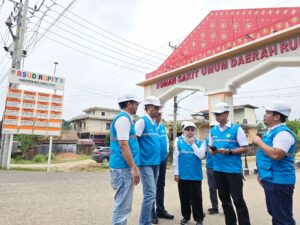 Usai Ditelpon Presiden, Dirut PLN Inspeksi Langsung ke RSUD Rupit