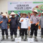 Kendalikan Inflasi Jelang Puasa Pemprov Sumsel Lounching Gerakan Tanam Cabai