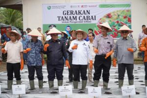 Kendalikan Inflasi Jelang Puasa Pemprov Sumsel Lounching Gerakan Tanam Cabai