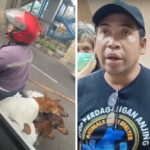 Viral, Anjing Dalam Karung Diduga Bakal Dijagal Aktivis Hewan Bereaksi