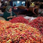 Harga Cabai di Palembang Makin Pedas, Capai Rp 70 Ribu per Kg