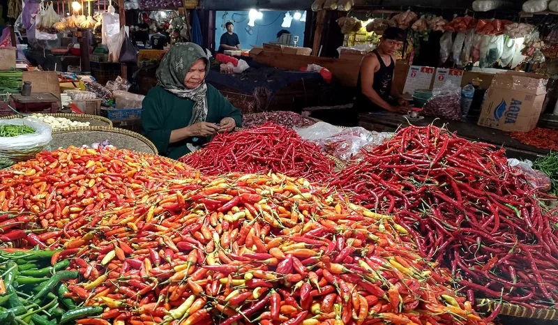 Harga Cabai di Palembang Makin Pedas, Capai Rp 70 Ribu per Kg