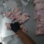 Rumah Potong Ayam di Palembang Belum Kantongi Sertifikat Halal dan NKV