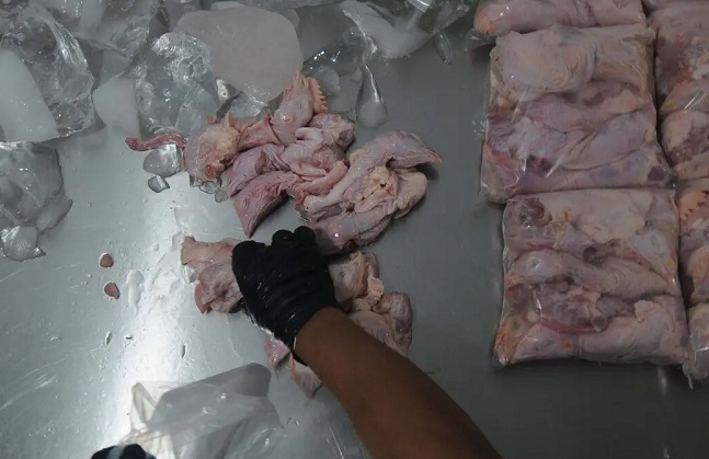 Rumah Potong Ayam di Palembang Belum Kantongi Sertifikat Halal dan NKV