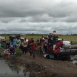 Pemprov Sumsel Kawal HPP Gabah Rp 6.500/Kg, Perlu Tambahan Mitra Bulog