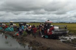 Pemprov Sumsel Kawal HPP Gabah Rp6.500/Kg, Perlu Tambahan Mitra Bulog