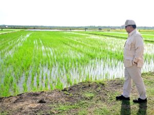 Presiden Prabowo: Pengusaha Tak Patuh HPP Gabah Rp6.500 Harus Tutup Usaha