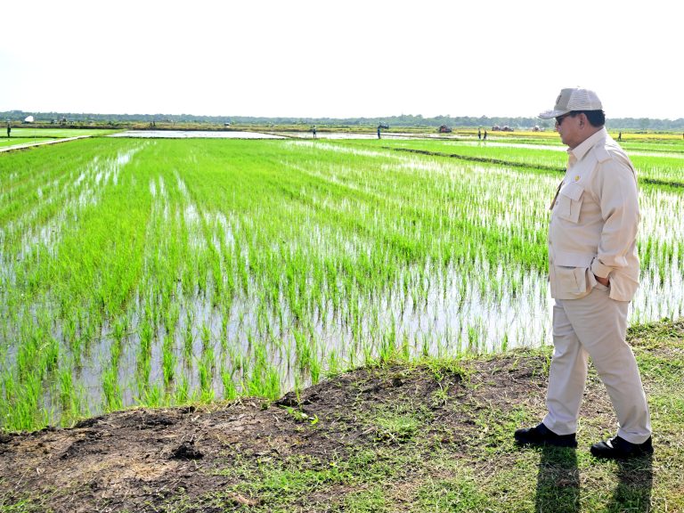 Presiden Prabowo: Pengusaha Tak Patuh HPP Gabah Rp6.500 Harus Tutup Usaha